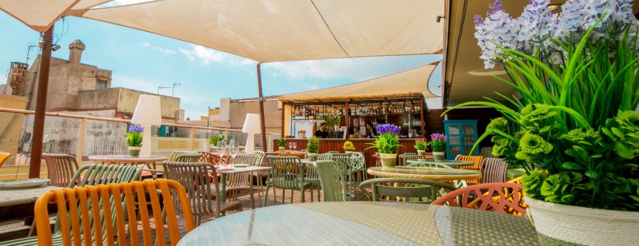 Drets i obligacions Ciutat Hotels Drets i obligacions Ciutat Hotels